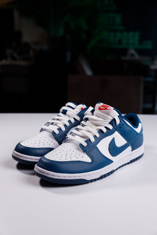 Nike Dunk Low Valerian Blue